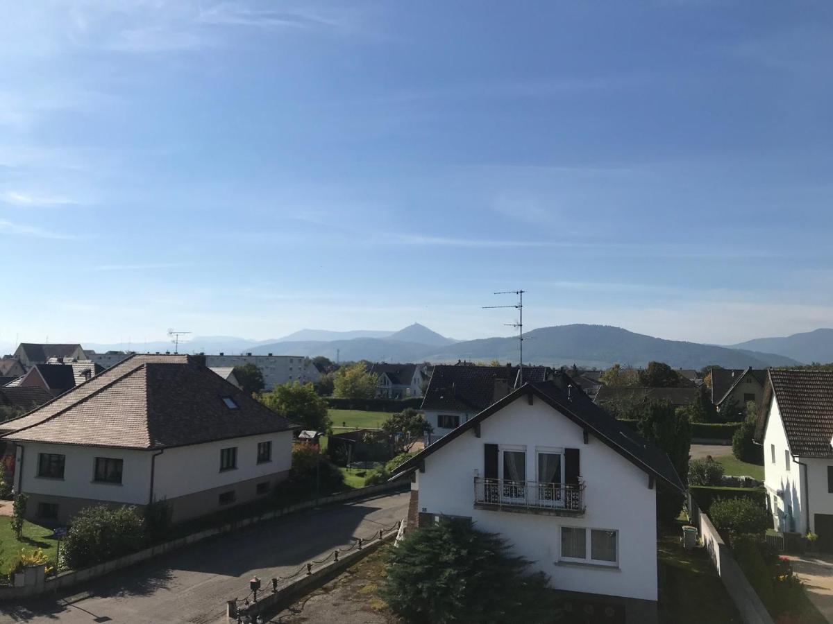 Appartement Chaleureux Et Lumineux Avec Vue ! Au Centre Alsace セレスタ エクステリア 写真