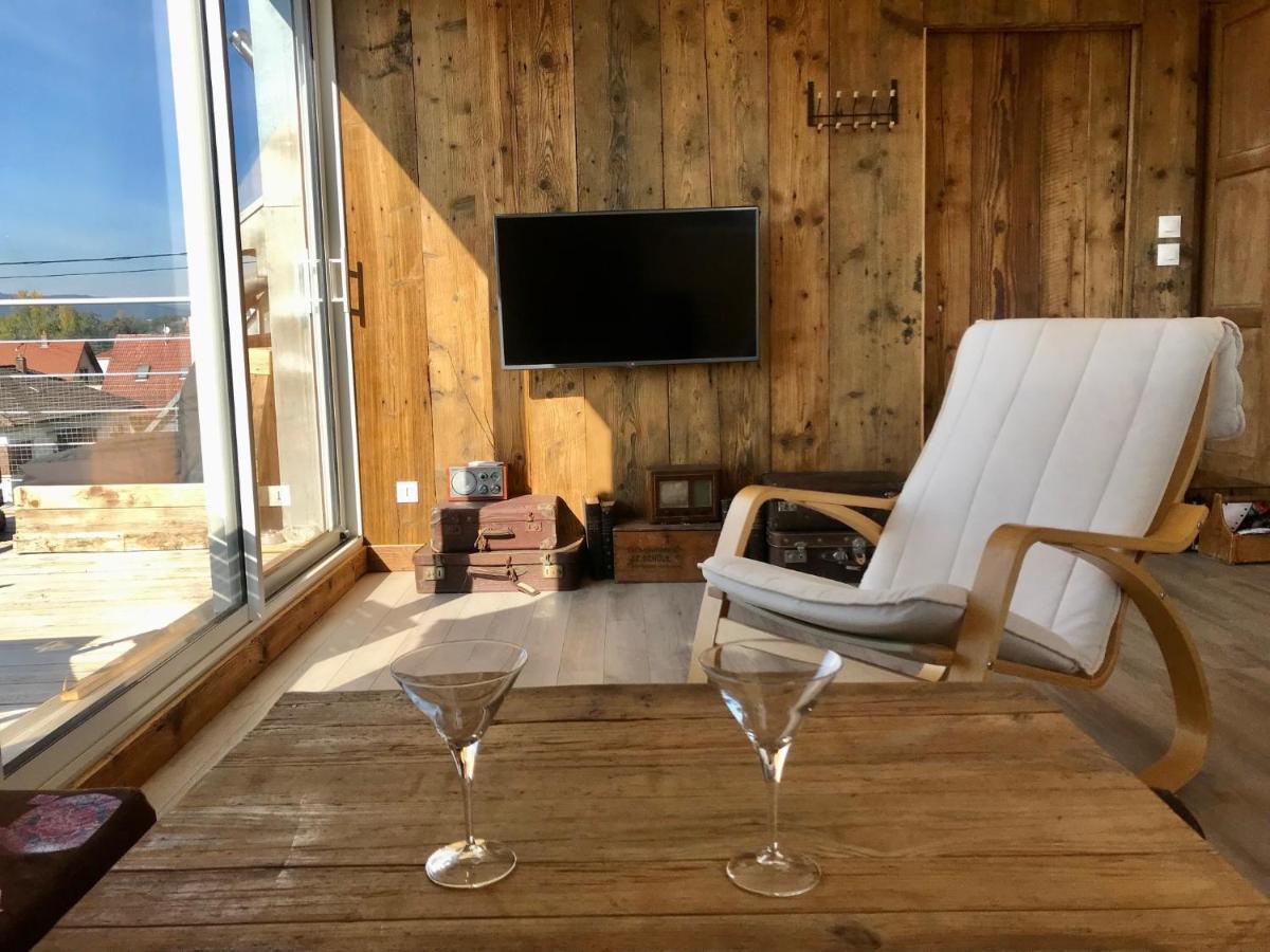 Appartement Chaleureux Et Lumineux Avec Vue ! Au Centre Alsace セレスタ エクステリア 写真
