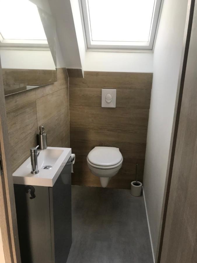 Appartement Chaleureux Et Lumineux Avec Vue ! Au Centre Alsace セレスタ エクステリア 写真