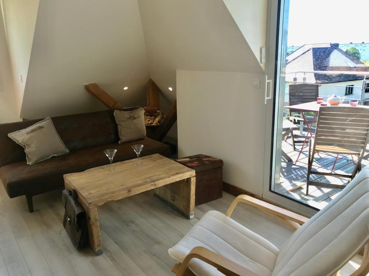 Appartement Chaleureux Et Lumineux Avec Vue ! Au Centre Alsace セレスタ エクステリア 写真