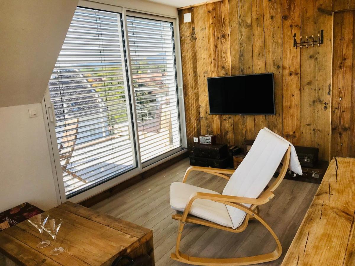 Appartement Chaleureux Et Lumineux Avec Vue ! Au Centre Alsace セレスタ エクステリア 写真