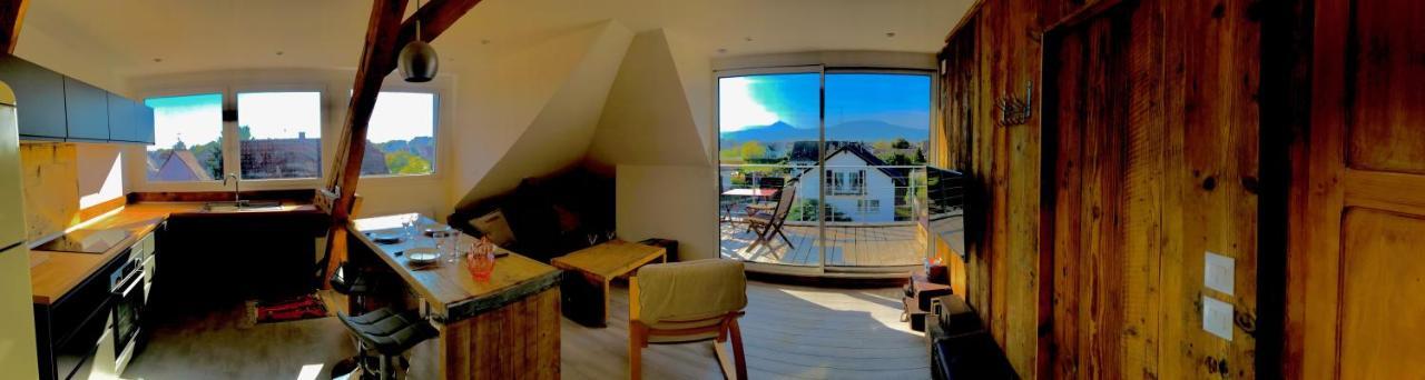 Appartement Chaleureux Et Lumineux Avec Vue ! Au Centre Alsace セレスタ エクステリア 写真